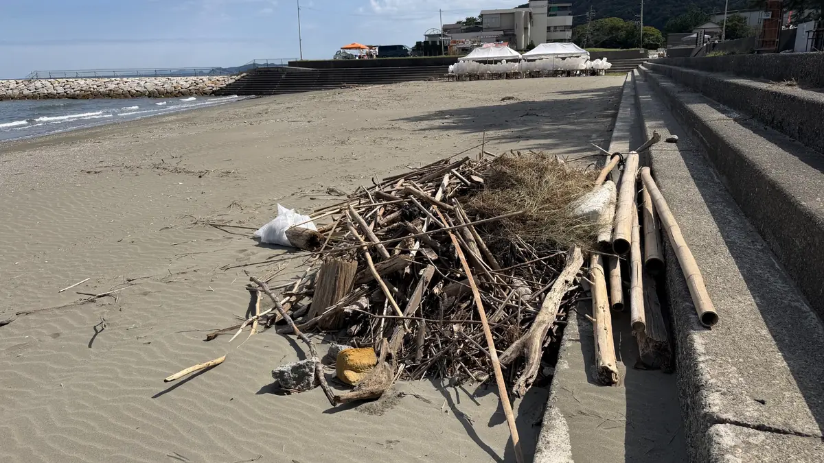 清掃で集めた流木や竹、ごみ袋。奥に二見浦の砂浜と海